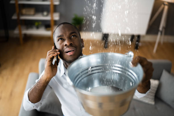 Best Residential water damage restoration  in Creston, OH