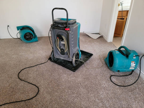 Best Basement water damage restoration  in Creston, OH