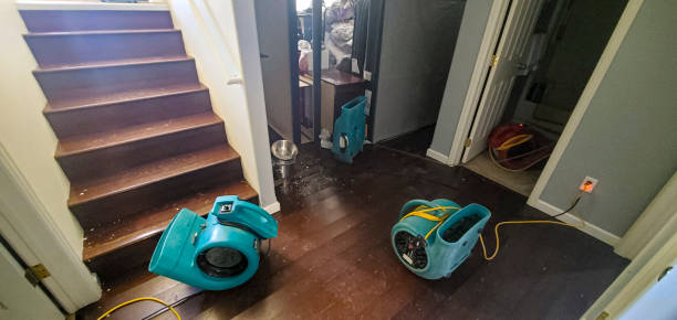 Best Flood restoration services  in Creston, OH