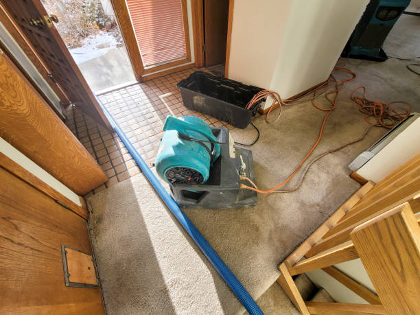 Best Commercial water damage restoration  in Creston, OH