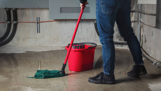 Best 24/7 water damage repair  in Creston, OH