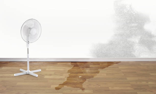 Best Sewage cleanup and water damage restoration  in Creston, OH