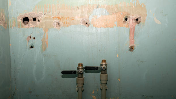 Best Flooded house restoration  in Creston, OH