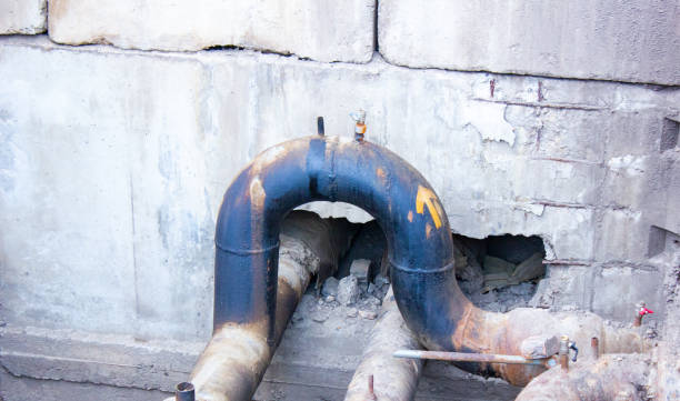 Best Water damage contractors near me  in Creston, OH