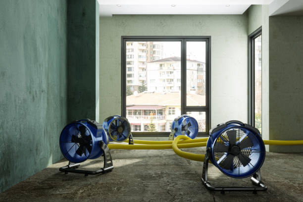 Best Water damage restoration insurance claims  in Creston, OH